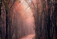 九游体育：第5席8强诞生！雷佩凡不敌小特：世界第1轰6-2，.