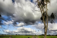 九游体育：[英超]强强对话 阿森纳主场战平利物浦.